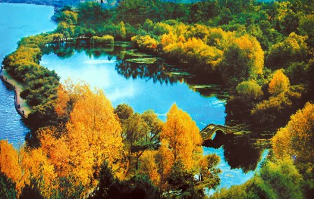 2006年春节，中共大理州委、州人民政府发出的贺年卡，背景正是情人湖。寸亚平供图